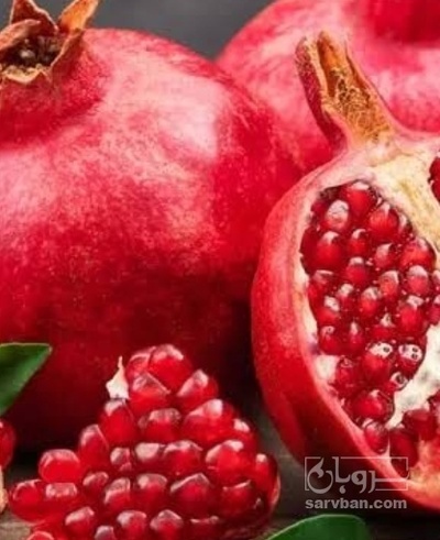 فروش انار