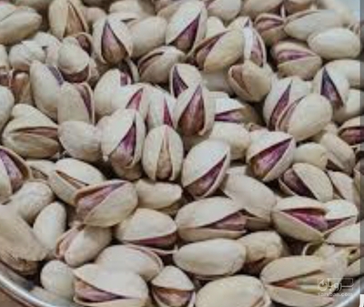 فروش پسته فندقی