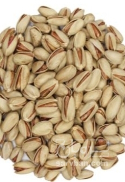 فروش پسته کله قوچی