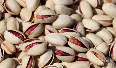فروش پسته فندقی