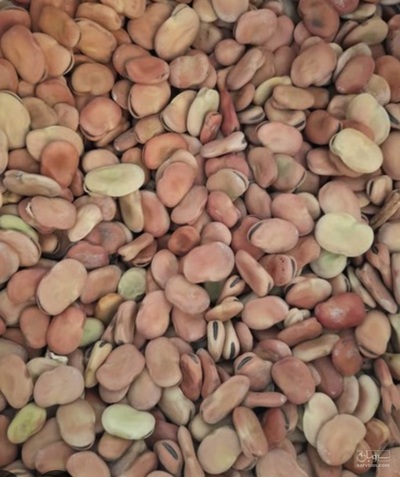 فروش باقلاخشک