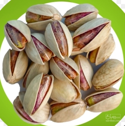 فروش پسته اکبری