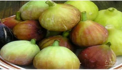 فروش انجیر