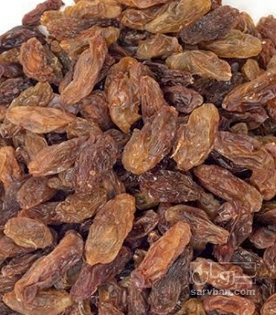 فروش مویز سرخ