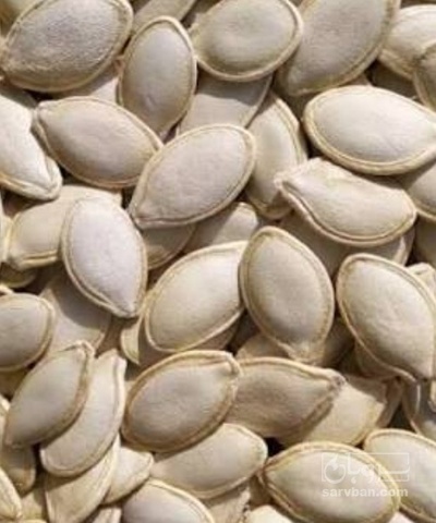 فروش تخمه  کدو بو داده