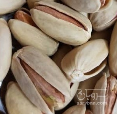 فروش پسته بادامی