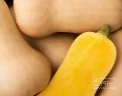 فروش کدو حلوایی