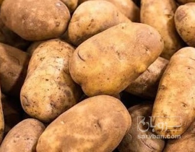 فروش سیب زمینی