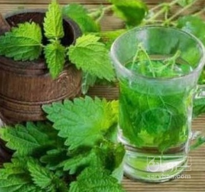 فروش عرق نعناع