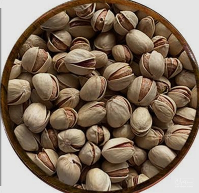 فروش پسته فندقی