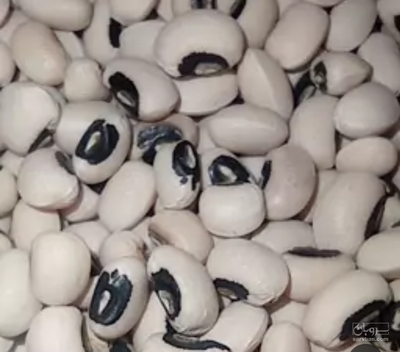 فروش لوبیا چشم بلبلی