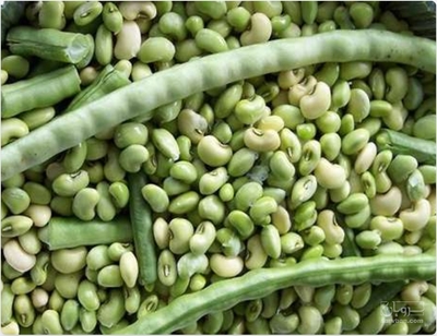فروش لوبیا چشم بلبلی
