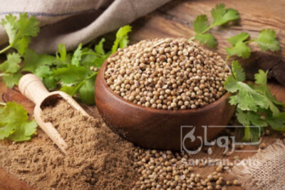 فروش تخم گشنیز (گیاه‌ دارویی)