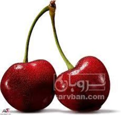 فروش گیلاس