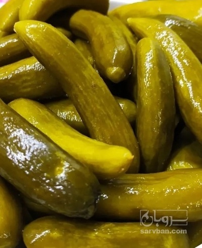 فروش خیار شور نول