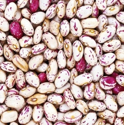 فروش لوبیا چیتی