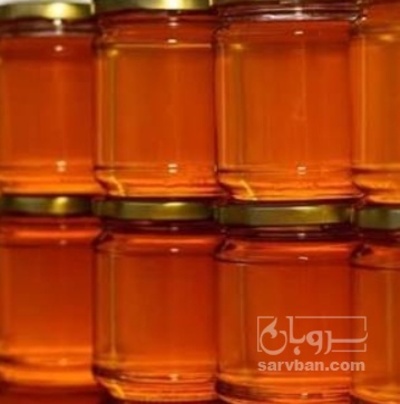 فروش عسل تغذیه