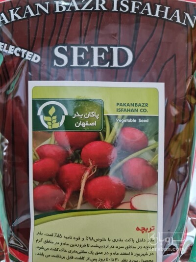 فروش بذر تربچه