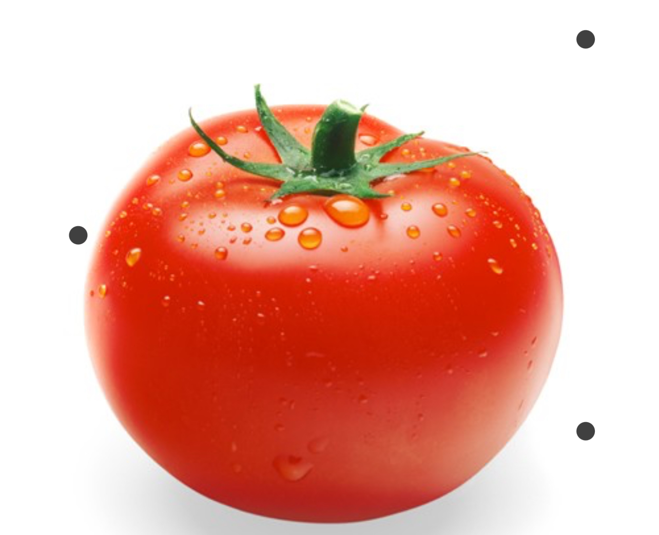 فروش گوجه فرنگی