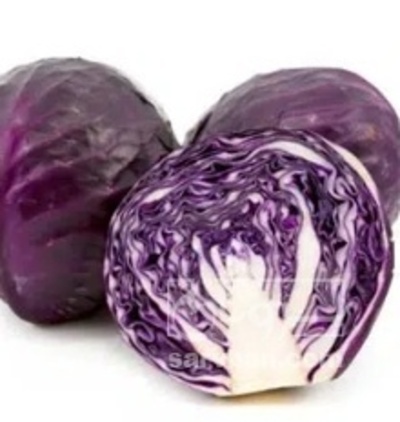 فروش کلم برگی قرمز