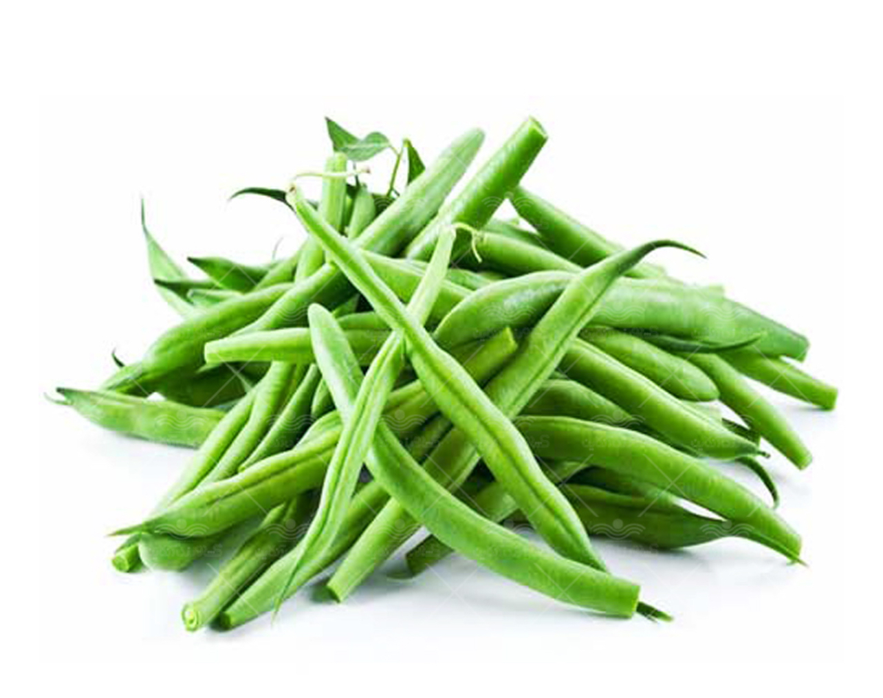 فروش لوبیا سبز