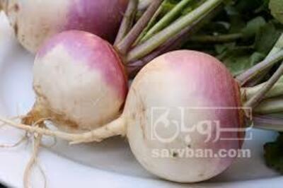فروش شلغم