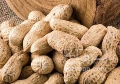 فروش بادام زمینی با قلاف