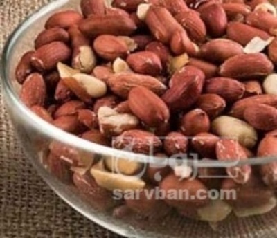 فروش بادام زمینی بی قلاف