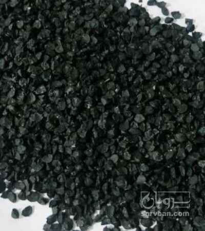 فروش بذر پیاز