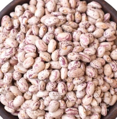 فروش لوبیا چیتی