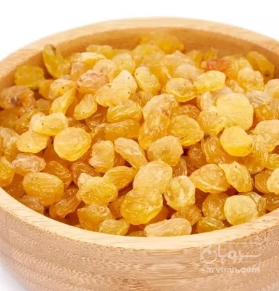 فروش کشمش طلایی