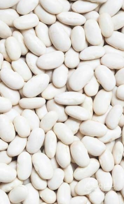 فروش لوبیا سفید