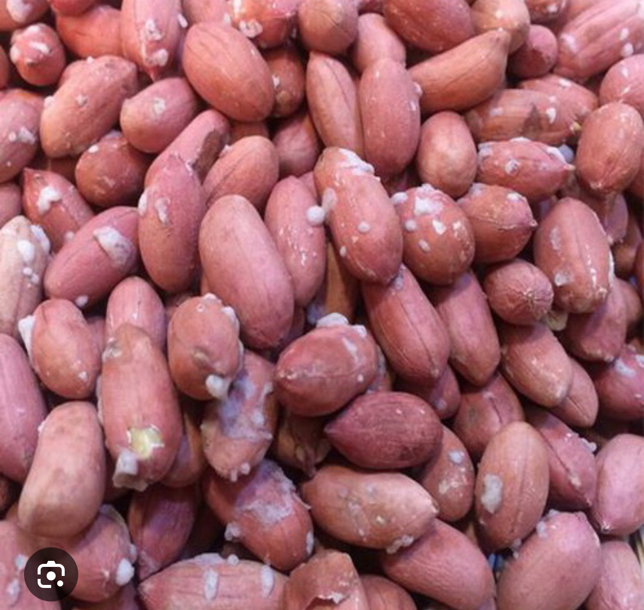 فروش بادام زمینی