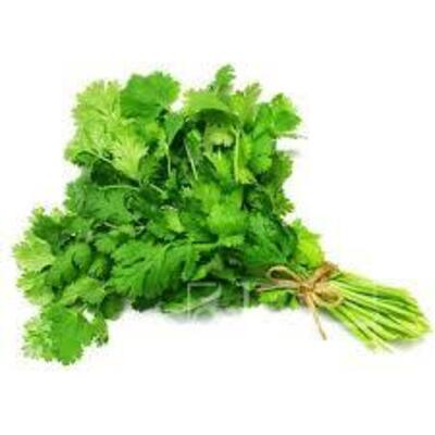 فروش گشنیز