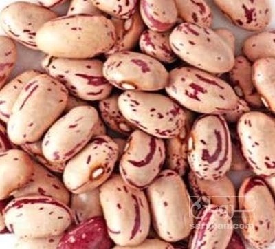 فروش لوبیا چیتی