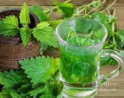 فروش عرق نعناع