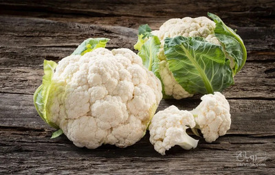 فروش گل کلم