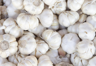 فروش سیر