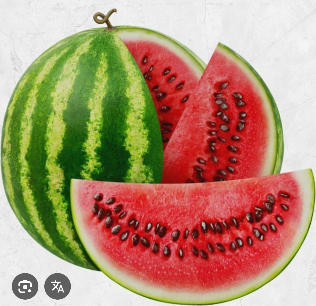 فروش هندوانه