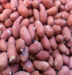 فروش بادام زمینی