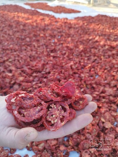 فروش گوجه خشک