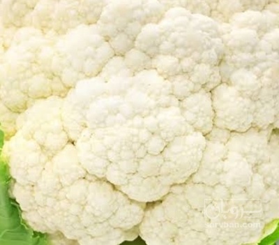 فروش گل کلم