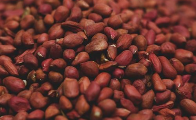 فروش بادام زمینی