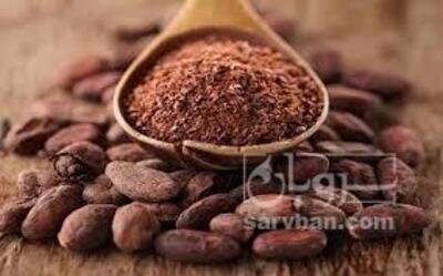 فروش هسته خرما