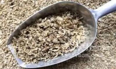 فروش تفاله چغندر خشک