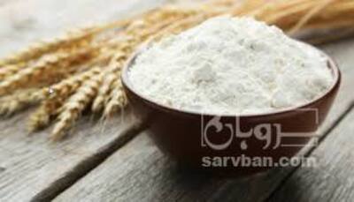 فروش نشاسته دامی