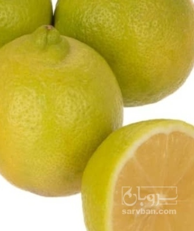 فروش لیمو سنگی