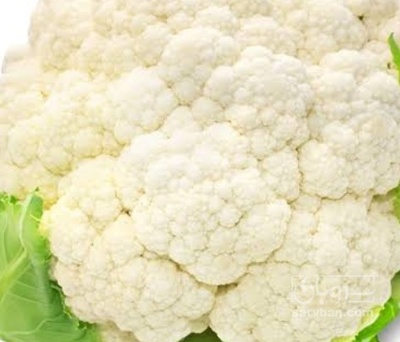 فروش گل کلم