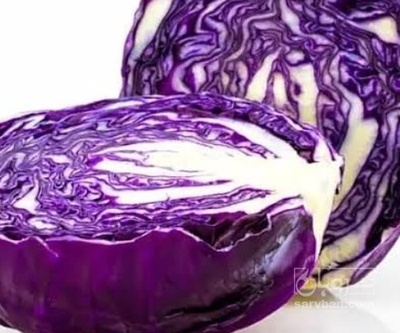 فروش کلم برگی قرمز