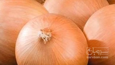 فروش پیاز زرد